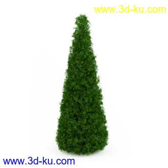 园林植物,观赏植物,庭园植物,园艺,造型植物,草丛,滕迈,灌木,花卉,矮树,杂草,鲜花等模型35个的图片17