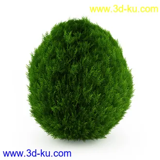 园林植物,观赏植物,庭园植物,园艺,造型植物,草丛,滕迈,灌木,花卉,矮树,杂草,鲜花等模型35个的图片18