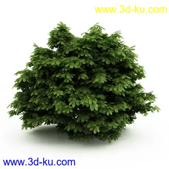 园林植物,观赏植物,庭园植物,园艺,造型植物,草丛,滕迈,灌木,花卉,矮树,杂草,鲜花等模型35个的图片20