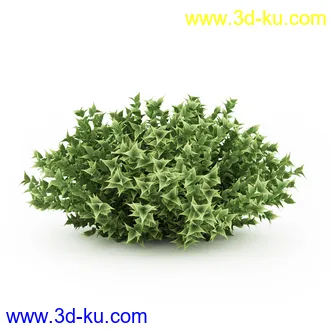 园林植物,观赏植物,庭园植物,园艺,造型植物,草丛,滕迈,灌木,花卉,矮树,杂草,鲜花等模型35个的图片26