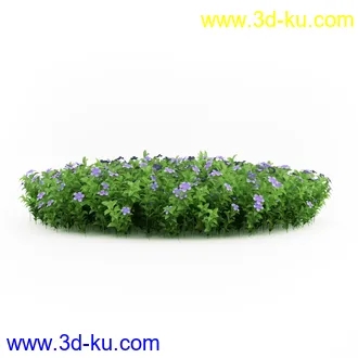 园林植物,观赏植物,庭园植物,园艺,造型植物,草丛,滕迈,灌木,花卉,矮树,杂草,鲜花等模型35个的图片32