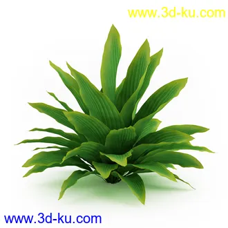 园林植物,观赏植物,庭园植物,园艺,造型植物,草丛,滕迈,灌木,花卉,矮树,杂草,鲜花等模型35个的图片33