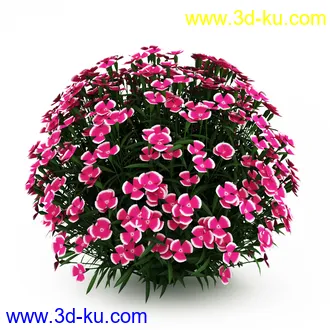 园林植物,观赏植物,庭园植物,园艺,造型植物,草丛,滕迈,灌木,花卉,矮树,杂草,鲜花等模型35个的图片