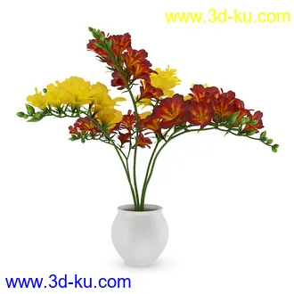 花卉模型合集,牵牛花,玫瑰,蝴蝶兰,水仙花,菊花,玻璃花瓶,陶瓷花瓶,花樽,君子兰等花模型20个的图片