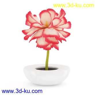 花卉模型合集,牵牛花,玫瑰,蝴蝶兰,水仙花,菊花,玻璃花瓶,陶瓷花瓶,花樽,君子兰等花模型20个的图片