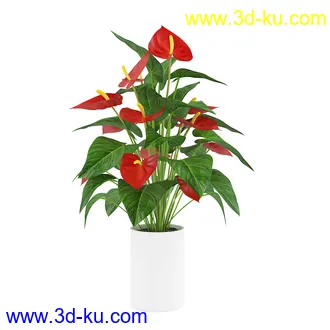 花卉模型合集,牵牛花,玫瑰,蝴蝶兰,水仙花,菊花,玻璃花瓶,陶瓷花瓶,花樽,君子兰等花模型20个的图片