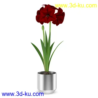 花卉模型合集,牵牛花,玫瑰,蝴蝶兰,水仙花,菊花,玻璃花瓶,陶瓷花瓶,花樽,君子兰等花模型20个的图片