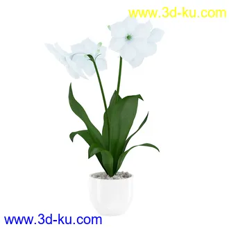 花卉模型合集,牵牛花,玫瑰,蝴蝶兰,水仙花,菊花,玻璃花瓶,陶瓷花瓶,花樽,君子兰等花模型20个的图片