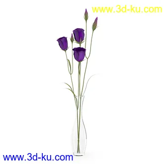 花卉模型合集,牵牛花,玫瑰,蝴蝶兰,水仙花,菊花,玻璃花瓶,陶瓷花瓶,花樽,君子兰等花模型20个的图片
