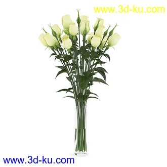 花卉模型合集,牵牛花,玫瑰,蝴蝶兰,水仙花,菊花,玻璃花瓶,陶瓷花瓶,花樽,君子兰等花模型20个的图片