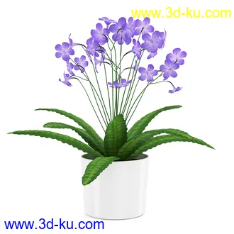 花卉模型合集,牵牛花,玫瑰,蝴蝶兰,水仙花,菊花,玻璃花瓶,陶瓷花瓶,花樽,君子兰等花模型20个的图片