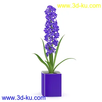 花卉模型合集,牵牛花,玫瑰,蝴蝶兰,水仙花,菊花,玻璃花瓶,陶瓷花瓶,花樽,君子兰等花模型20个的图片