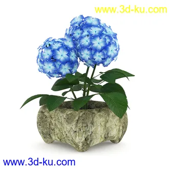 花卉模型合集,牵牛花,玫瑰,蝴蝶兰,水仙花,菊花,玻璃花瓶,陶瓷花瓶,花樽,君子兰等花模型20个的图片