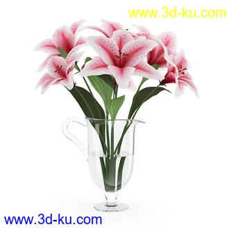 花卉模型合集,牵牛花,玫瑰,蝴蝶兰,水仙花,菊花,玻璃花瓶,陶瓷花瓶,花樽,君子兰等花模型20个的图片