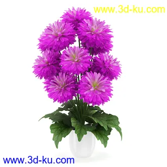 花卉模型合集,牵牛花,玫瑰,蝴蝶兰,水仙花,菊花,玻璃花瓶,陶瓷花瓶,花樽,君子兰等花模型20个的图片