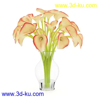花卉模型合集,牵牛花,玫瑰,蝴蝶兰,水仙花,菊花,玻璃花瓶,陶瓷花瓶,花樽,君子兰等花模型20个的图片