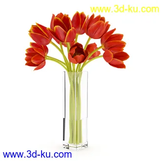 花卉模型合集,牵牛花,玫瑰,蝴蝶兰,水仙花,菊花,玻璃花瓶,陶瓷花瓶,花樽,君子兰等花模型20个的图片