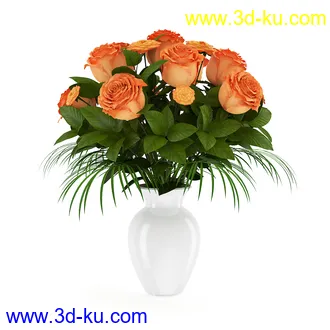 花卉模型合集,牵牛花,玫瑰,蝴蝶兰,水仙花,菊花,玻璃花瓶,陶瓷花瓶,花樽,君子兰等花模型20个的图片