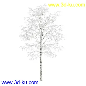 树模型合集,春夏秋冬四季树木的形态,树枝,树干,树模型30个的图片