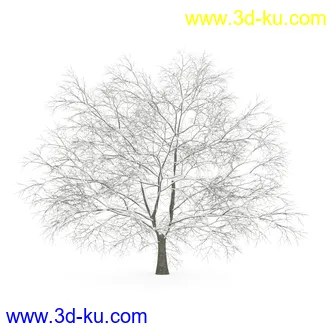 树模型合集,春夏秋冬四季树木的形态,树枝,树干,树模型30个的图片