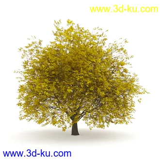 树模型合集,春夏秋冬四季树木的形态,树枝,树干,树模型30个的图片