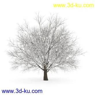 树模型合集,春夏秋冬四季树木的形态,树枝,树干,树模型30个的图片