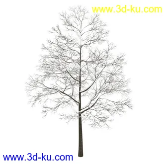 树模型合集,春夏秋冬四季树木的形态,树枝,树干,树模型30个的图片