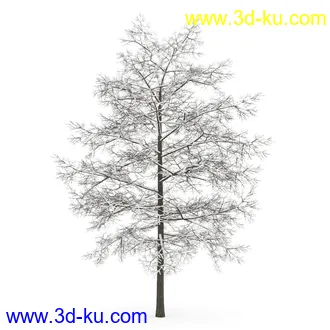 树模型合集,春夏秋冬四季树木的形态,树枝,树干,树模型30个的图片