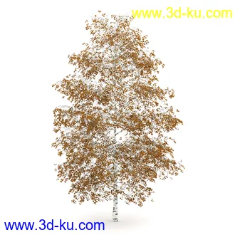 树模型合集,春夏秋冬四季树木的形态,树枝,树干,树模型30个的图片