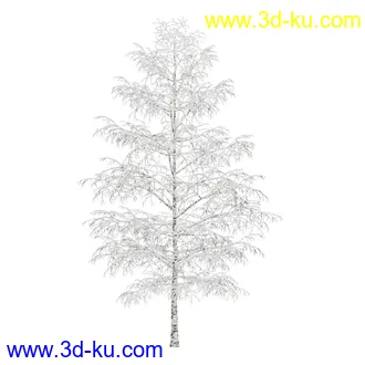 树模型合集,春夏秋冬四季树木的形态,树枝,树干,树模型30个的图片