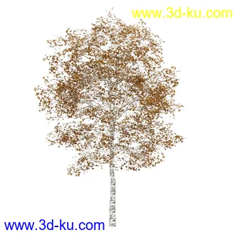 树模型合集,春夏秋冬四季树木的形态,树枝,树干,树模型30个的图片