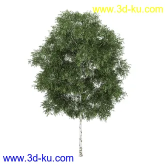 树模型合集,共30个各类树木的模型的图片