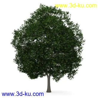 树模型合集,共30个各类树木的模型的图片