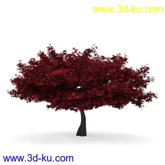 树模型合集,共30个各类树木的模型的图片