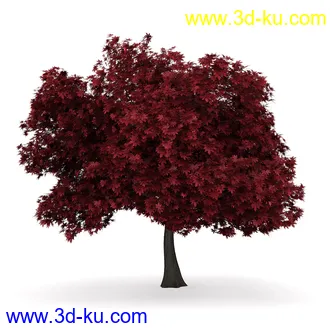 树模型合集,共30个各类树木的模型的图片