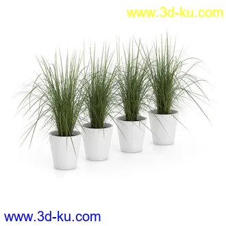 植物模型合集,盆景,盆栽,花草,花盆,各类植物模型共30个的图片27