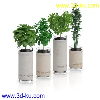 植物模型合集,盆景,盆栽,花草,花盆,各类植物模型共30个的图片28