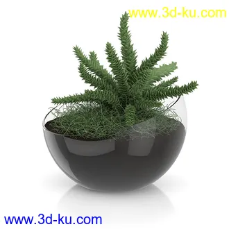 植物模型合集,盆景,盆栽,花草,花盆,各类植物模型共30个的图片29