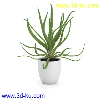 植物模型合集,盆景,盆栽,花草,花盆,各类植物模型共30个的图片30