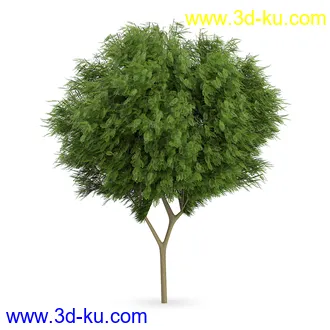 树模型合集,树木模型,共21个植物模型的图片