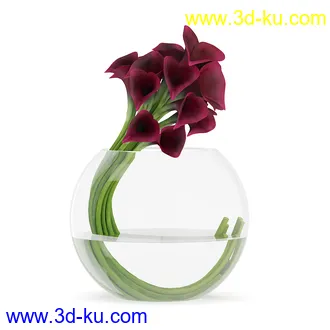 花卉模型,玫瑰花,木犀,蒲公英,桃花,菊花,向日葵,郁金香,六月雪,蛇床,土人参,瓜叶菊,蝴蝶兰,风信子,薰衣草,非洲菊等模型26个的图片