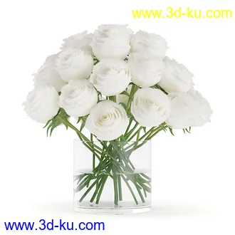 花卉模型,玫瑰花,木犀,蒲公英,桃花,菊花,向日葵,郁金香,六月雪,蛇床,土人参,瓜叶菊,蝴蝶兰,风信子,薰衣草,非洲菊等模型26个的图片