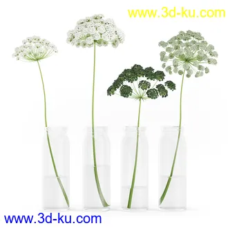 花卉模型,玫瑰花,木犀,蒲公英,桃花,菊花,向日葵,郁金香,六月雪,蛇床,土人参,瓜叶菊,蝴蝶兰,风信子,薰衣草,非洲菊等模型26个的图片