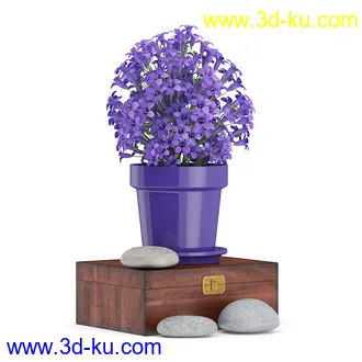 花卉模型,玫瑰花,木犀,蒲公英,桃花,菊花,向日葵,郁金香,六月雪,蛇床,土人参,瓜叶菊,蝴蝶兰,风信子,薰衣草,非洲菊等模型26个的图片