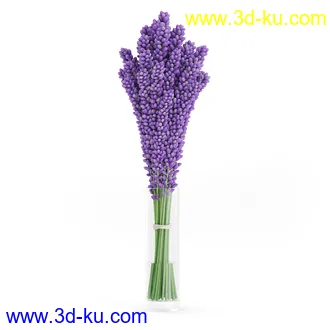 花卉模型,玫瑰花,木犀,蒲公英,桃花,菊花,向日葵,郁金香,六月雪,蛇床,土人参,瓜叶菊,蝴蝶兰,风信子,薰衣草,非洲菊等模型26个的图片