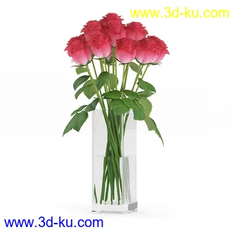 花卉模型,玫瑰花,木犀,蒲公英,桃花,菊花,向日葵,郁金香,六月雪,蛇床,土人参,瓜叶菊,蝴蝶兰,风信子,薰衣草,非洲菊等模型26个的图片