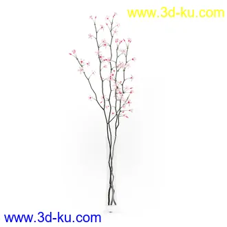 花卉模型,玫瑰花,木犀,蒲公英,桃花,菊花,向日葵,郁金香,六月雪,蛇床,土人参,瓜叶菊,蝴蝶兰,风信子,薰衣草,非洲菊等模型26个的图片11