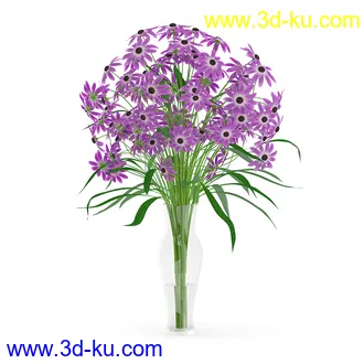花卉模型,玫瑰花,木犀,蒲公英,桃花,菊花,向日葵,郁金香,六月雪,蛇床,土人参,瓜叶菊,蝴蝶兰,风信子,薰衣草,非洲菊等模型26个的图片