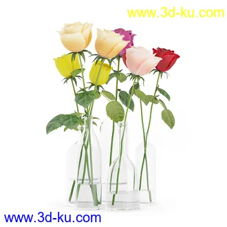 花卉模型,玫瑰花,木犀,蒲公英,桃花,菊花,向日葵,郁金香,六月雪,蛇床,土人参,瓜叶菊,蝴蝶兰,风信子,薰衣草,非洲菊等模型26个的图片13