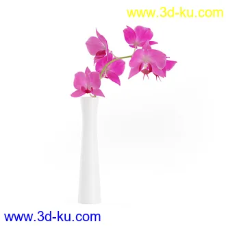 花卉模型,玫瑰花,木犀,蒲公英,桃花,菊花,向日葵,郁金香,六月雪,蛇床,土人参,瓜叶菊,蝴蝶兰,风信子,薰衣草,非洲菊等模型26个的图片14